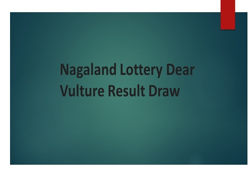 Nagaland Lottery Dear Vulture Result Draw